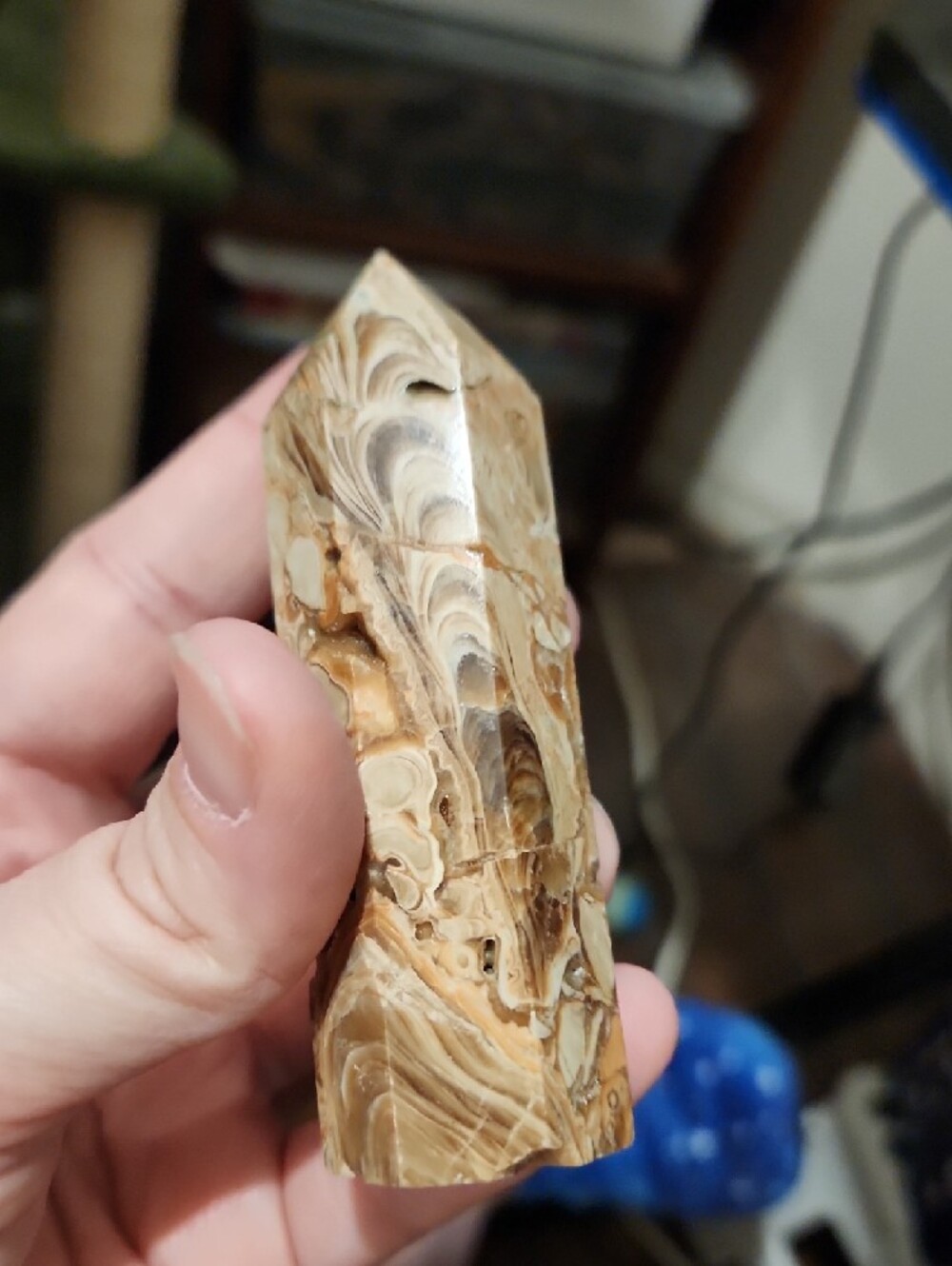 Fossiliferous Limestone/Calcite Point/Tower - Picture 4 of 11